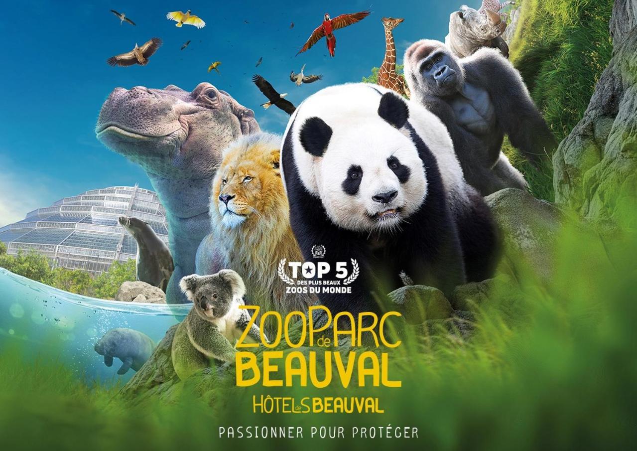 Paon D'or, 5 Minutes Du Zooparc De Beauval Apartment Saint-Aignan (Loir-et-Cher)
